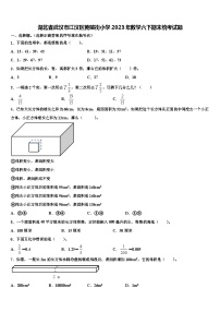 湖北省武汉市江汉区黄陂街小学2023年数学六下期末统考试题含解析