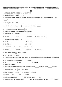 湖北省武汉市武昌白鹭街小学年2022-2023学年六年级数学第二学期期末统考模拟试题含解析