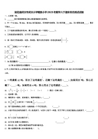 湖北省武汉市武汉小学瑞景小学2023年数学六下期末综合测试试题含解析