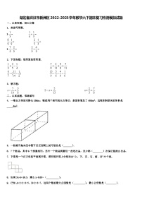 湖北省武汉市新洲区2022-2023学年数学六下期末复习检测模拟试题含解析