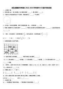 湖北省襄阳市樊城区2022-2023学年数学六下期末检测试题含解析