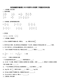 湖北省襄阳市襄州区2023年数学六年级第二学期期末统考试题含解析