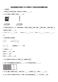 湖北省宜昌市当阳市2023年数学六下期末达标检测模拟试题含解析