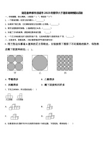 湖北省孝感市应城市2023年数学六下期末调研模拟试题含解析