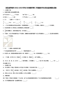 湖北省枣阳市2022-2023学年六年级数学第二学期期末学业质量监测模拟试题含解析