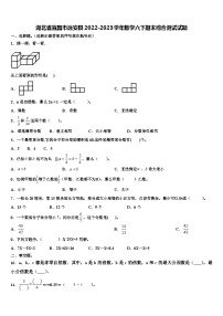 湖北省宜昌市远安县2022-2023学年数学六下期末综合测试试题含解析