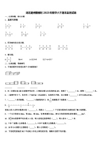 湖北随州曾都区2023年数学六下期末监测试题含解析