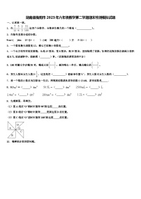 湖南省衡阳市2023年六年级数学第二学期期末检测模拟试题含解析