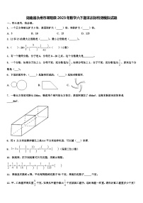 湖南省永州市祁阳县2023年数学六下期末达标检测模拟试题含解析