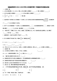 湖南省郴州市2022-2023学年六年级数学第二学期期末检测模拟试题含解析