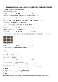 湖南省邵阳市邵阳县2022-2023学年六年级数学第二学期期末复习检测试题含解析