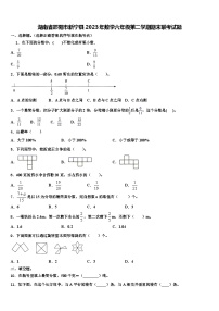 湖南省邵阳市新宁县2023年数学六年级第二学期期末联考试题含解析