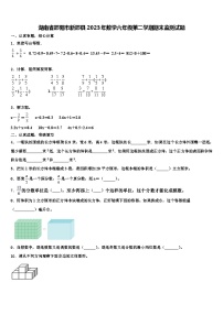 湖南省邵阳市新邵县2023年数学六年级第二学期期末监测试题含解析