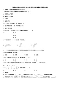 湖南省邵阳市新邵县2023年数学六下期末考试模拟试题含解析