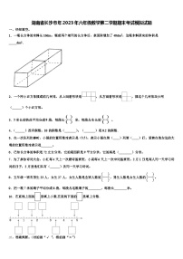 湖南省长沙市年2023年六年级数学第二学期期末考试模拟试题含解析