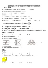 湖州市安吉县2023年六年级数学第二学期期末教学质量检测试题含解析