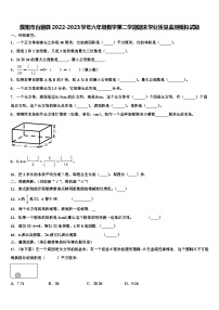 濮阳市台前县2022-2023学年六年级数学第二学期期末学业质量监测模拟试题含解析