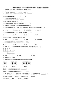 漳州市东山县2023年数学六年级第二学期期末监测试题含解析