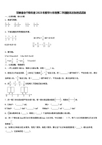 甘肃省会宁县年度2023年数学六年级第二学期期末达标测试试题含解析