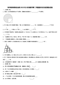 琼中黎族苗族自治县2023年六年级数学第二学期期末综合测试模拟试题含解析