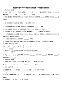 烟台市莱阳市2023年数学六年级第二学期期末统考试题含解析