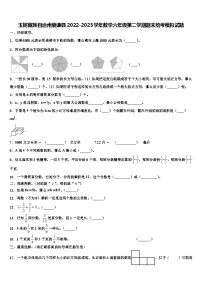 玉树藏族自治州囊谦县2022-2023学年数学六年级第二学期期末统考模拟试题含解析