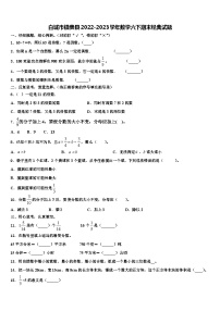 白城市镇赉县2022-2023学年数学六下期末经典试题含解析