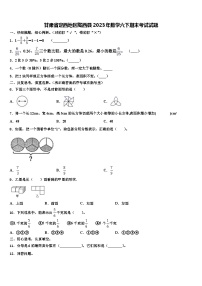 甘肃省定西地区陇西县2023年数学六下期末考试试题含解析