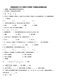 甘肃省定西市2023年数学六年级第二学期期末监测模拟试题含解析