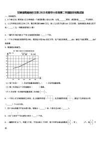 甘肃省陇南地区文县2023年数学六年级第二学期期末经典试题含解析