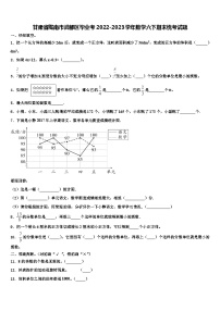 甘肃省陇南市武都区毕业考2022-2023学年数学六下期末统考试题含解析