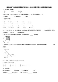 福建省厦门市思明区前埔南片区2023年六年级数学第二学期期末监测试题含解析