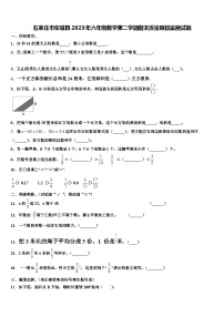 石家庄市栾城县2023年六年级数学第二学期期末质量跟踪监视试题含解析