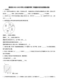 精河县2022-2023学年六年级数学第二学期期末综合测试模拟试题含解析