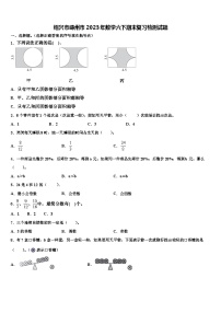 绍兴市嵊州市2023年数学六下期末复习检测试题含解析