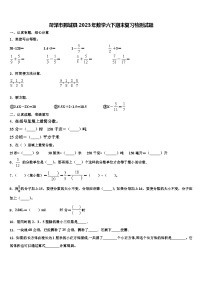 菏泽市鄄城县2023年数学六下期末复习检测试题含解析