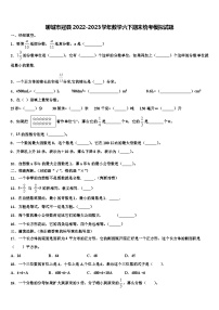 聊城市冠县2022-2023学年数学六下期末统考模拟试题含解析