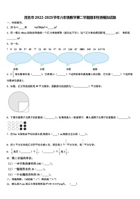 茂名市2022-2023学年六年级数学第二学期期末检测模拟试题含解析