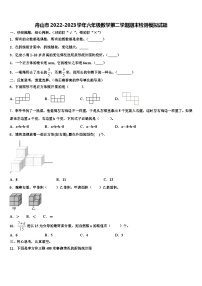 舟山市2022-2023学年六年级数学第二学期期末检测模拟试题含解析