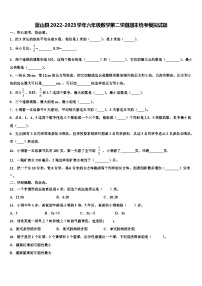 蓝山县2022-2023学年六年级数学第二学期期末统考模拟试题含解析