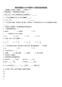 西安市雁塔区2023年数学六下期末质量检测试题含解析