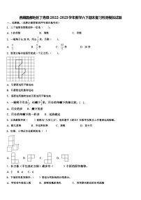 西藏昌都地区丁青县2022-2023学年数学六下期末复习检测模拟试题含解析