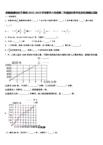 西藏昌都地区芒康县2022-2023学年数学六年级第二学期期末教学质量检测模拟试题含解析