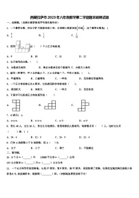 西藏拉萨市2023年六年级数学第二学期期末调研试题含解析