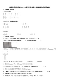 西藏拉萨市达孜县2023年数学六年级第二学期期末综合测试试题含解析