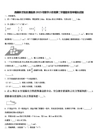 西藏林芝地区墨脱县2023年数学六年级第二学期期末统考模拟试题含解析