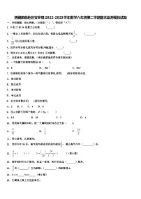 西藏那曲地区安多县2022-2023学年数学六年级第二学期期末监测模拟试题含解析