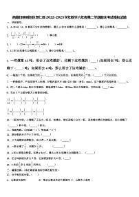 西藏日喀则地区昂仁县2022-2023学年数学六年级第二学期期末考试模拟试题含解析