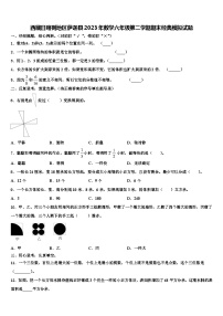 西藏日喀则地区萨迦县2023年数学六年级第二学期期末经典模拟试题含解析