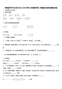 贵州省毕节市大方县2022-2023学年六年级数学第二学期期末达标检测模拟试题含解析